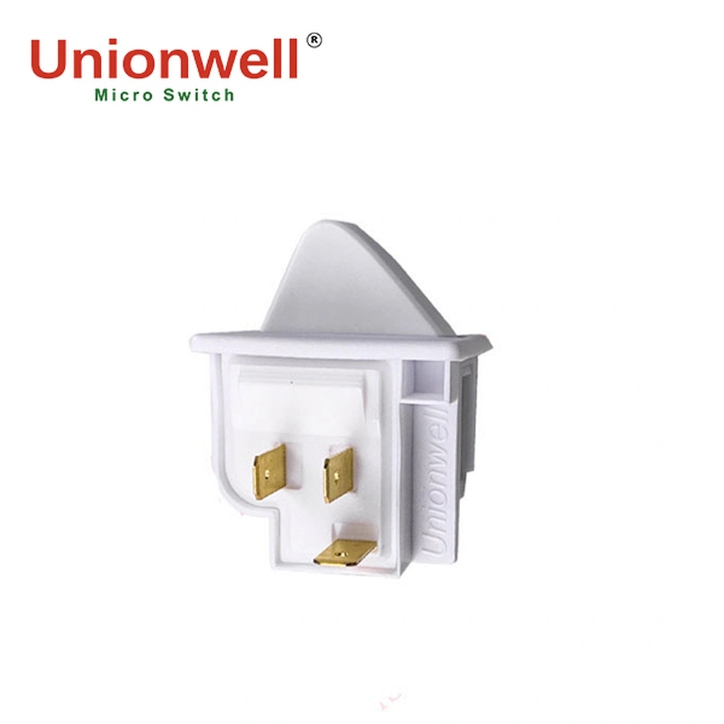 micro switch supplier